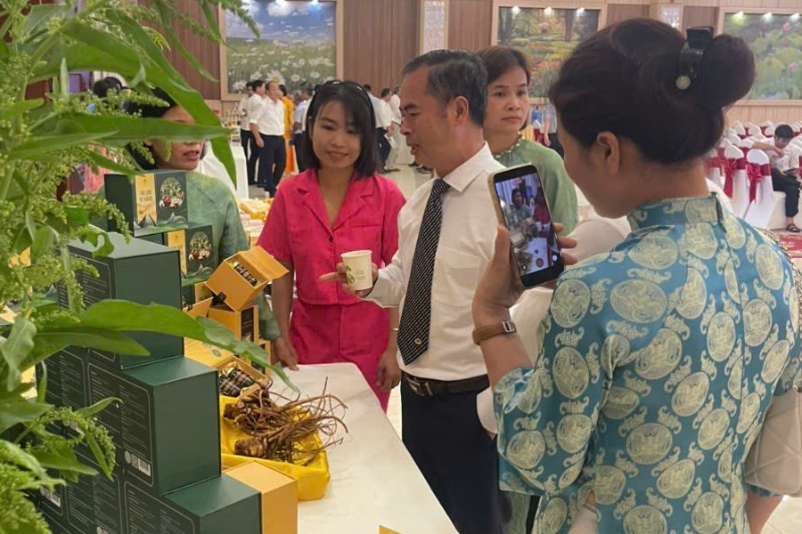 Sâm Nữ Hoàng đồng hành cùng HTX Ninh Bình quảng bá sản phẩm 